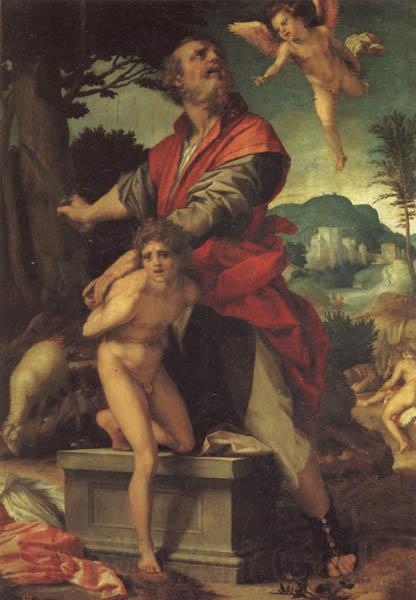 Andrea del Sarto The Sacrifice of Abraham Spain oil painting art